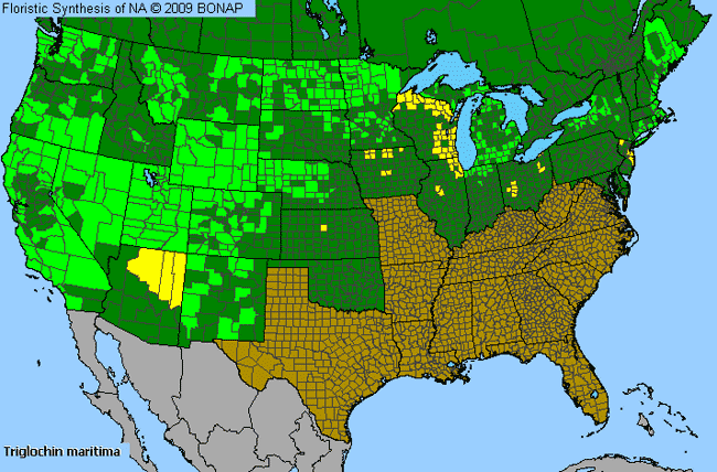 Allergies By County Map For Seaside Arrow-Grass