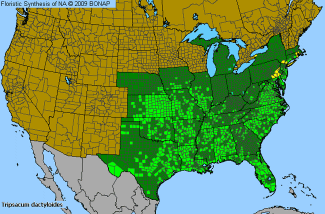 Allergies By County Map For Eastern Mock Grama