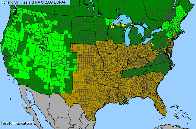 Allergies By County Map For Narrow False Oat