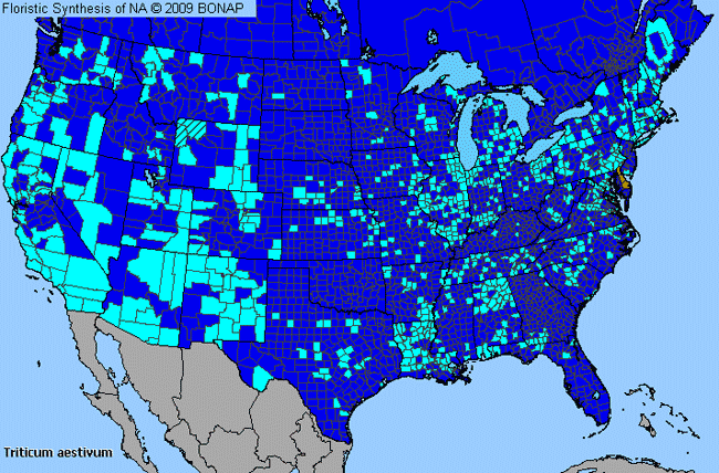 Allergies By County Map For Bread Wheat