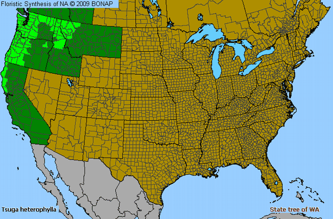 Allergies By County Map For Western Hemlock