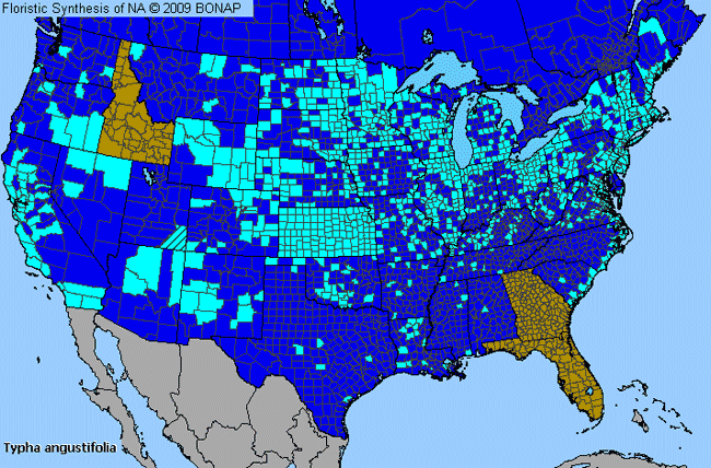 Allergies By County Map For Narrow-Leaf Cat-Tail