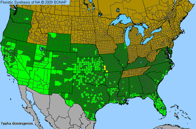 Allergies By County Map For Southern Cat-Tail