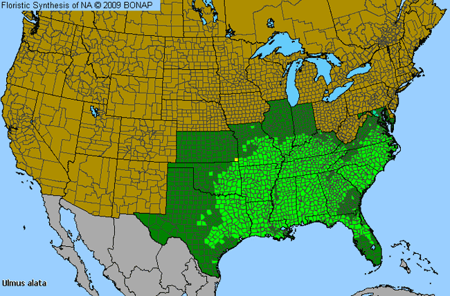 Allergies By County Map For Winged Elm