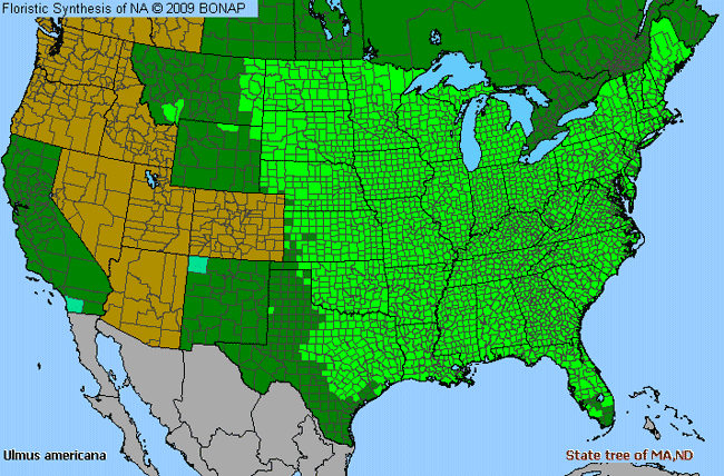 Allergies By County Map For American Elm