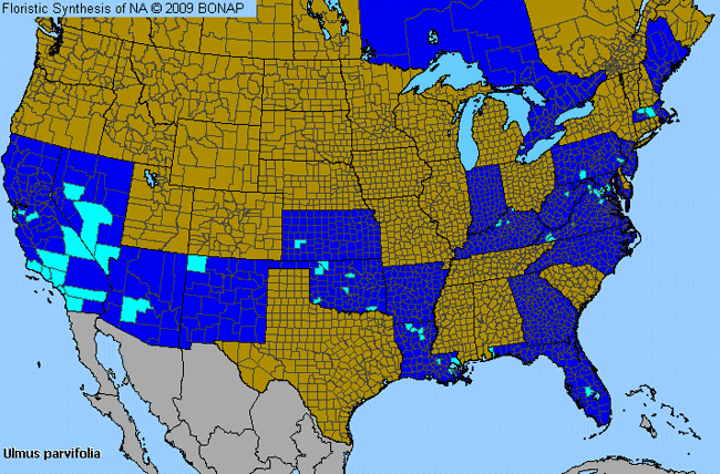 Allergies By County Map For Chinese Elm