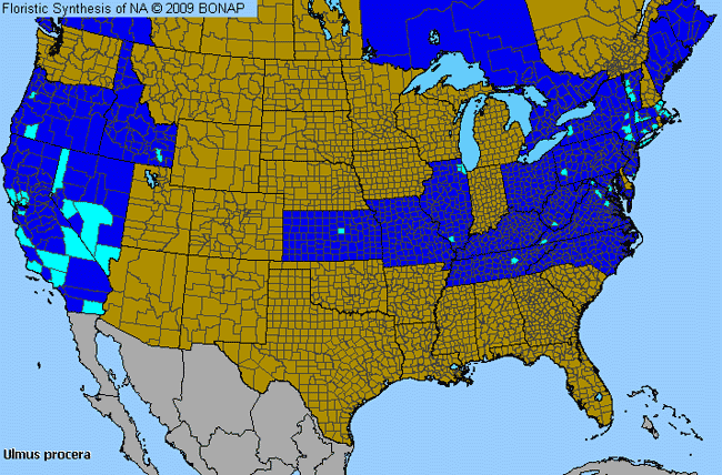 Allergies By County Map For English Elm