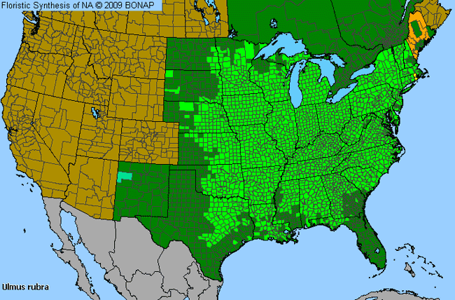 Allergies By County Map For Slippery Elm