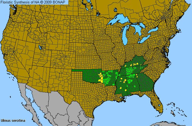 Allergies By County Map For September Elm