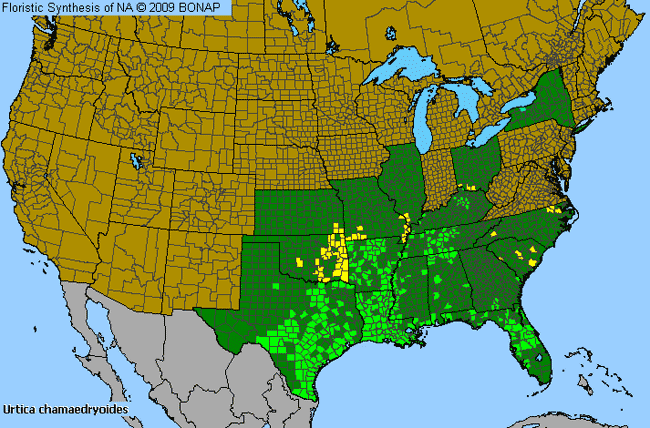 Allergies By County Map For Heart-Leaf Nettle