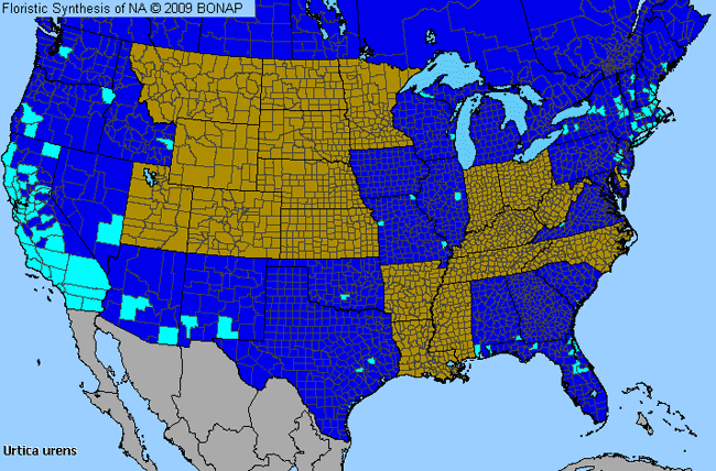 Allergies By County Map For Burning Nettle