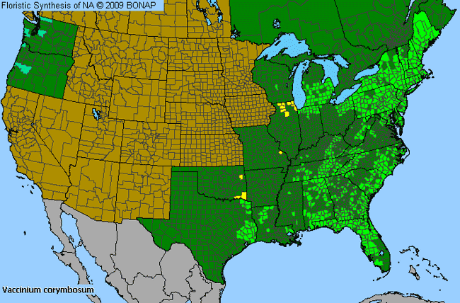 Allergies By County Map For Highbush Blueberry