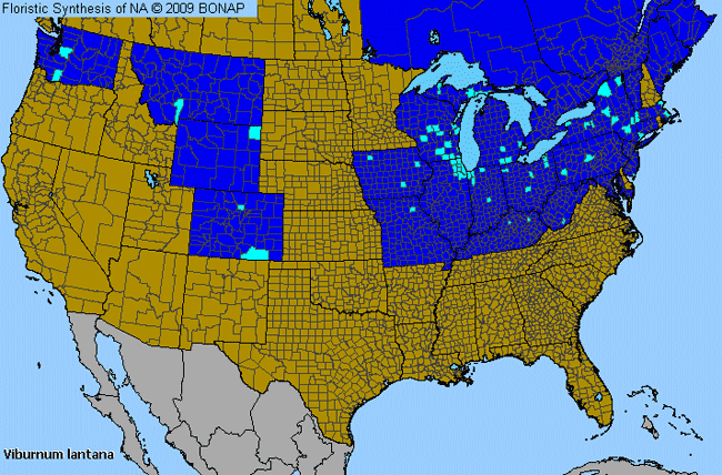 Allergies By County Map For Wayfaring-Tree