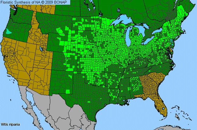 Allergies By County Map For River-Bank Grape