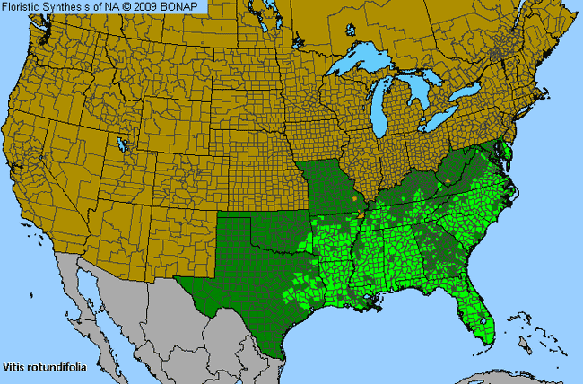 Allergies By County Map For Muscadine