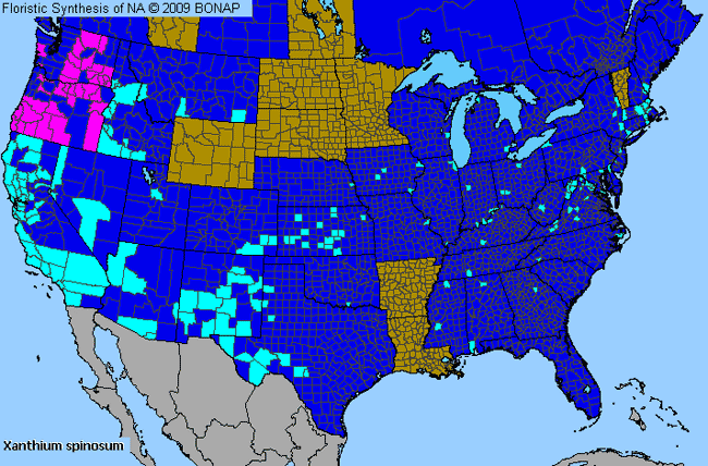 Allergies By County Map For Spiny Cockleburr