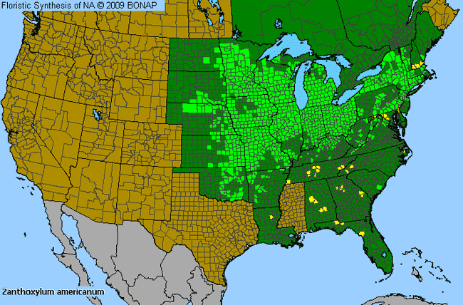 Allergies By County Map For Toothachetree