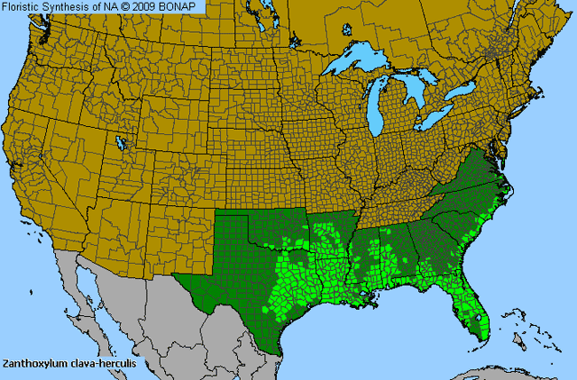 Allergies By County Map For Hercules'-Club