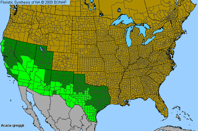 Allergies By County Map For Long-Flower Catclaw