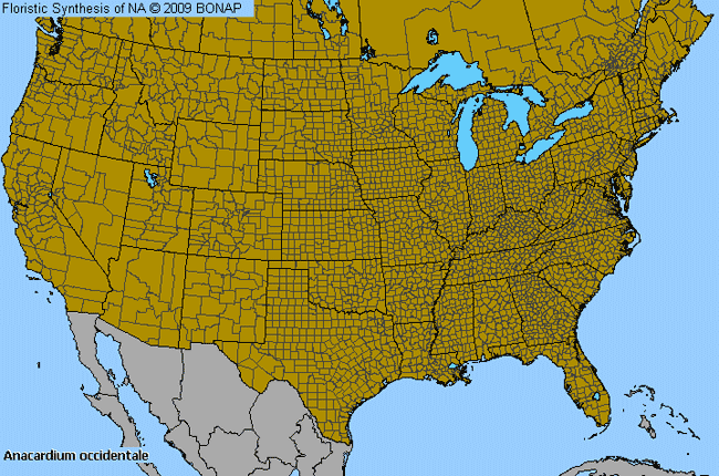 Allergies By County Map For Cashewnut