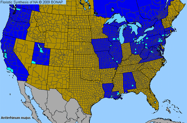 Allergies By County Map For Garden Snapdragon