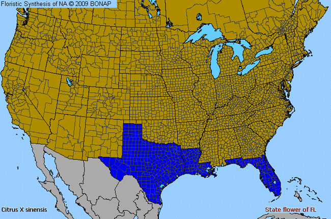 Allergies By County Map For Sweet Orange