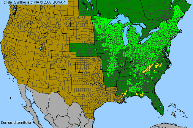 Allergies By County Map For Alternate-Leaf Dogwood