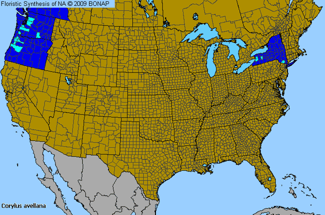 Allergies By County Map For Common Filbert