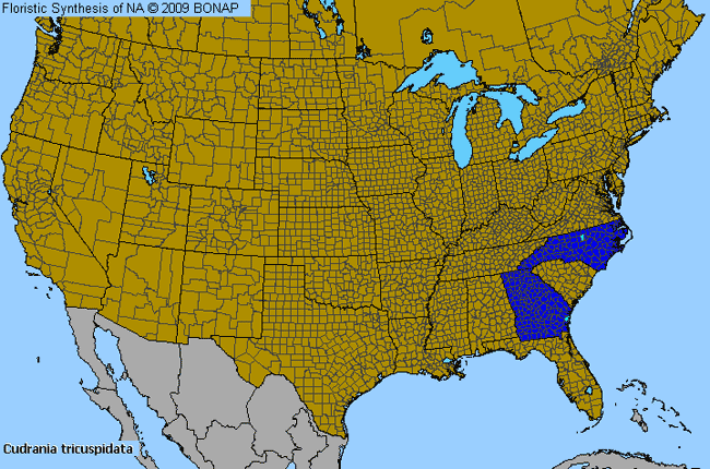 Allergies By County Map For Storehousebush