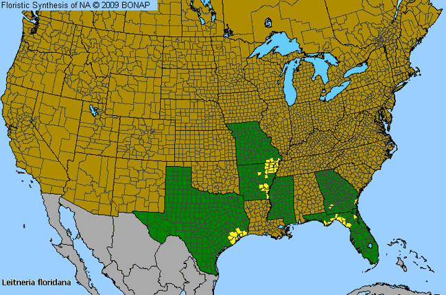 Allergies By County Map For Corkwood