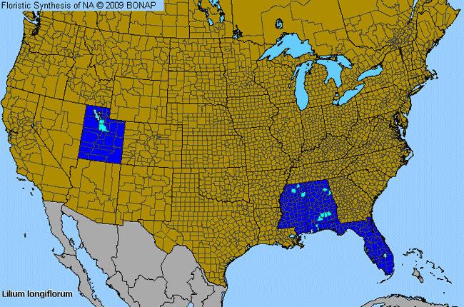 Allergies By County Map For Trumpet Lily