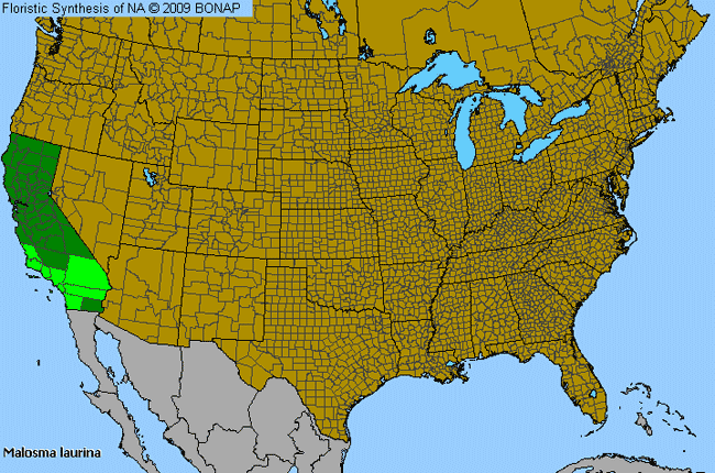 Allergies By County Map For Laurel-Sumac