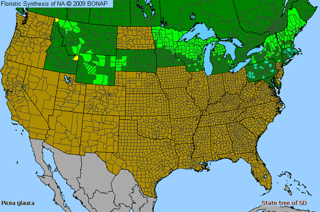 Allergies By County Map For White Spruce