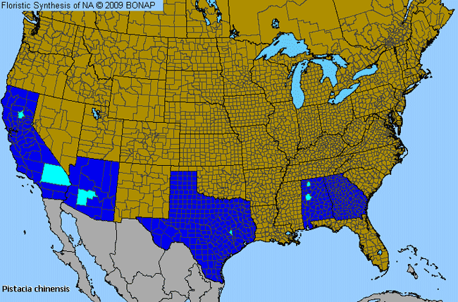 Allergies By County Map For Chinese Pistachio