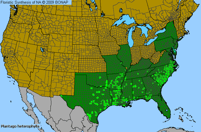 Allergies By County Map For Slender Plantain