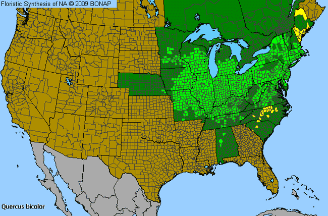 Allergies By County Map For Swamp White Oak