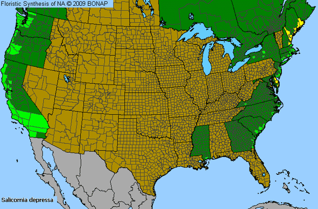 Allergies By County Map For Woody Saltwort